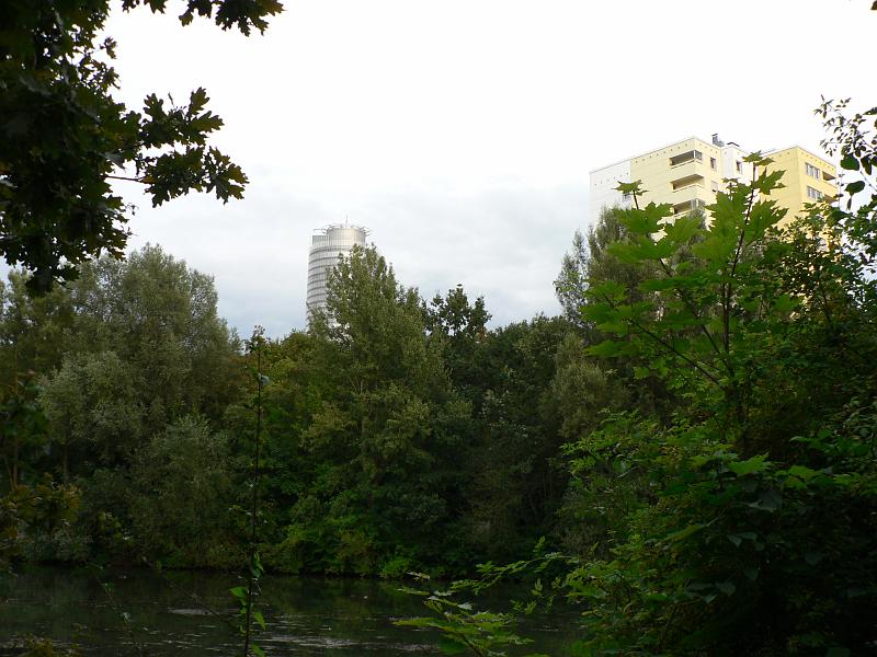 P1290370.JPG