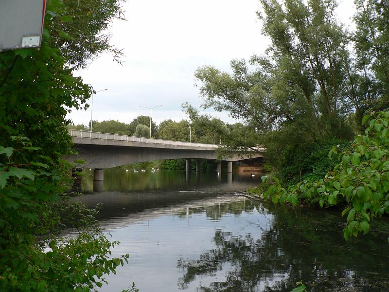 P1290373.JPG