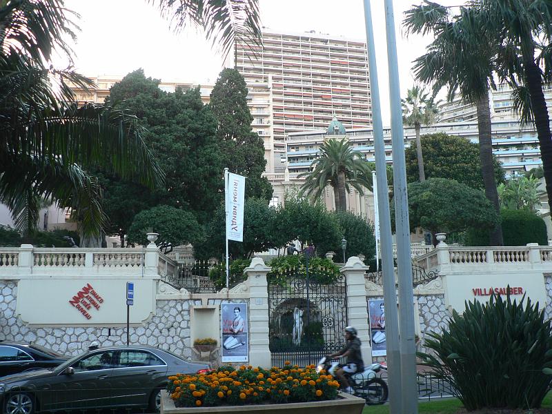 P1300249.JPG