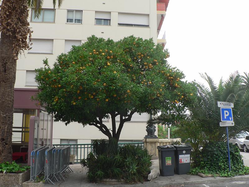 P1300493.JPG