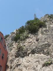 P1300633