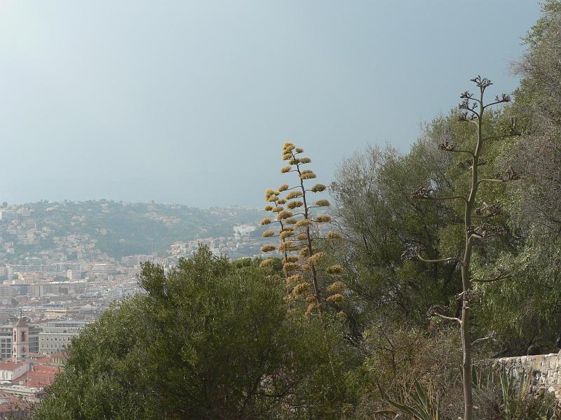 P1300679.JPG