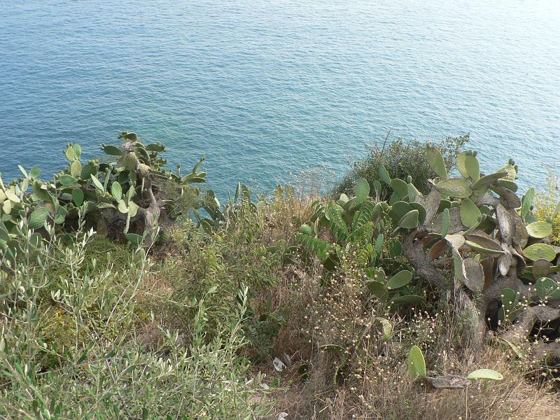 P1300686.JPG