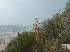 P1300679