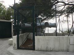 P1300733