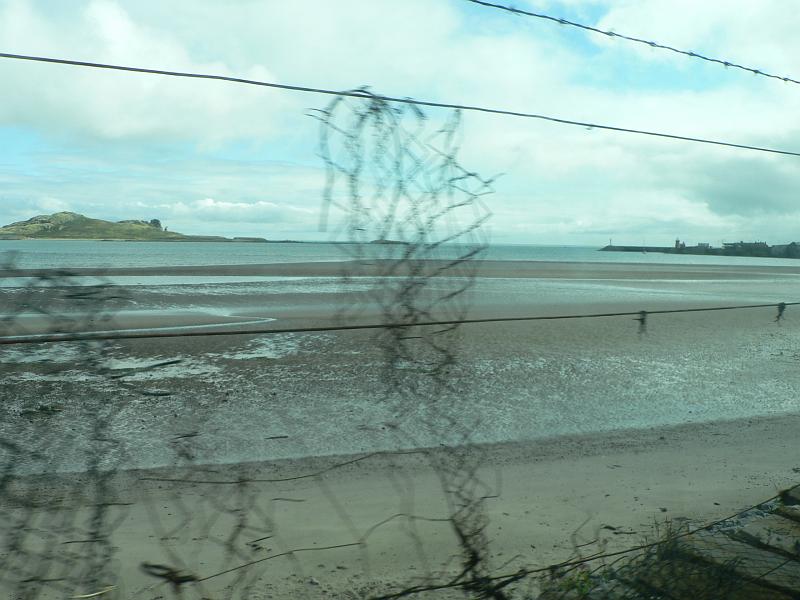 P1310046.JPG