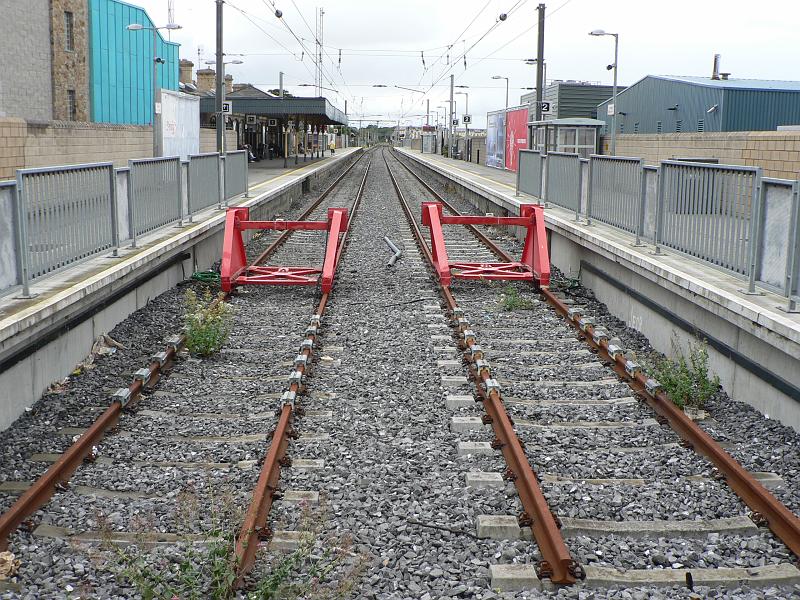P1310184.JPG