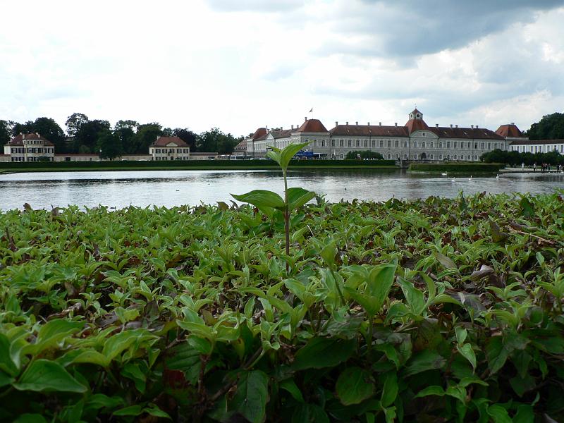 P1350372.JPG