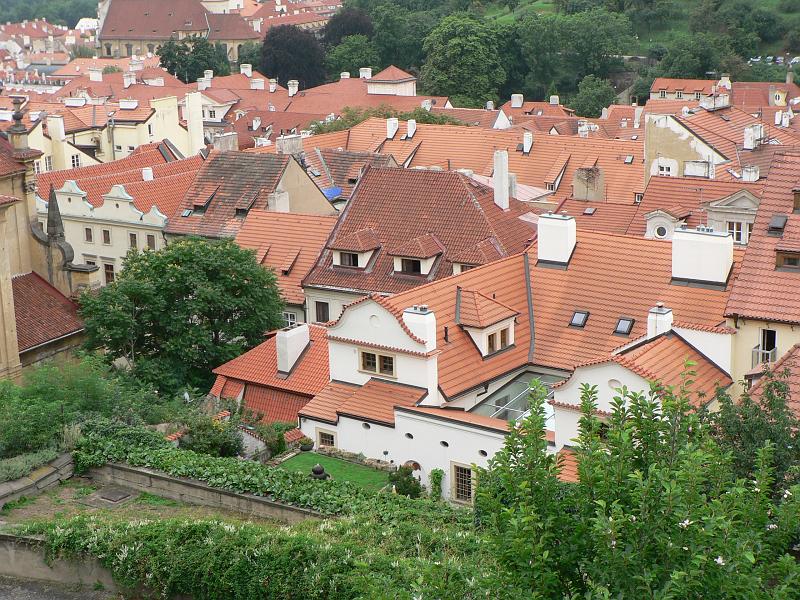 P1360218.JPG