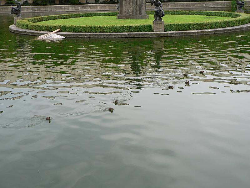P1360543.JPG