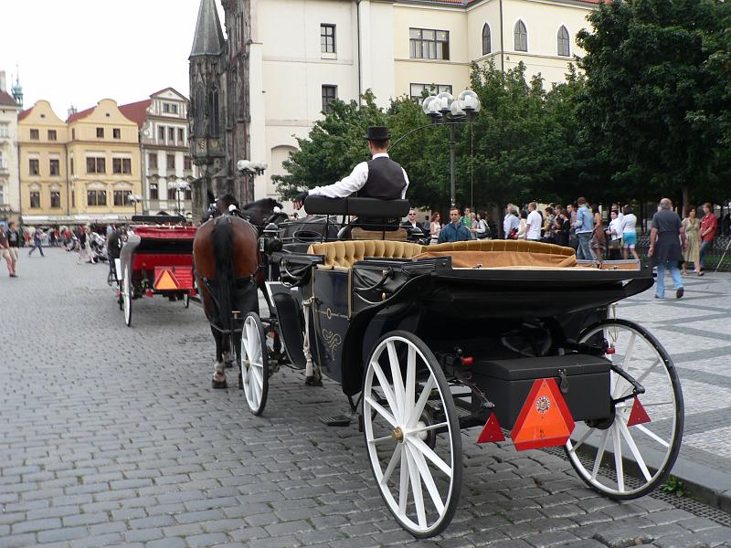 P1360579.JPG