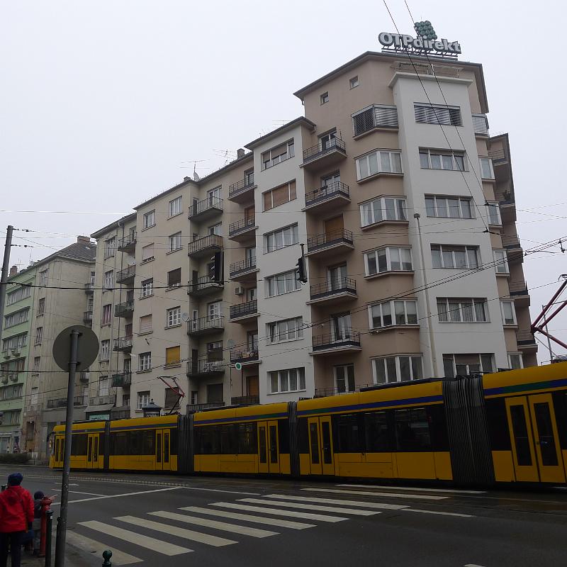 P1030932.JPG