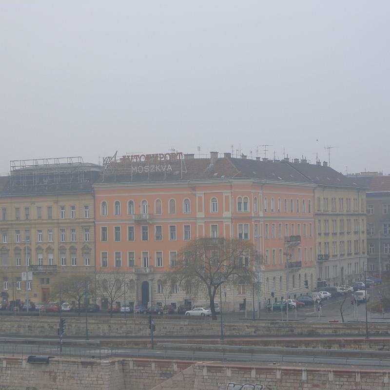 P1030953.JPG