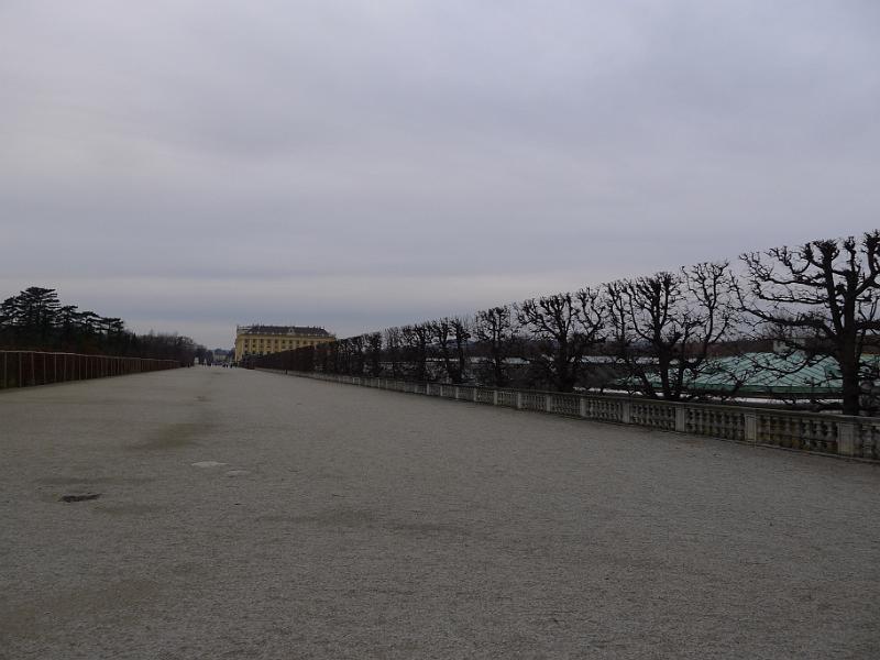 P1040564.JPG