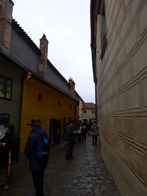 P1040757.JPG