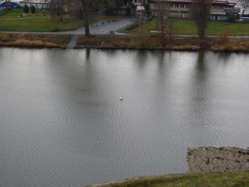 P1040774.JPG