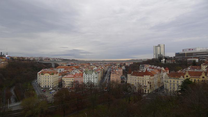 P1040788.JPG