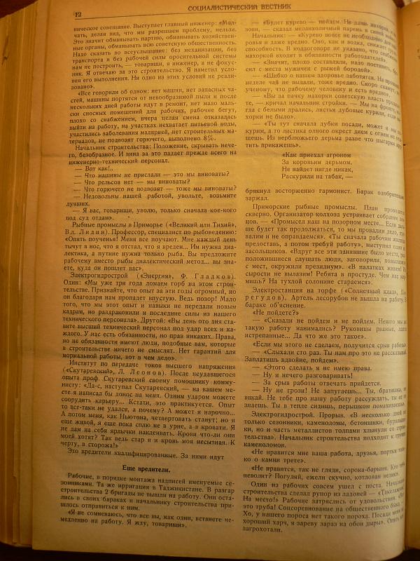 P1140235.JPG
