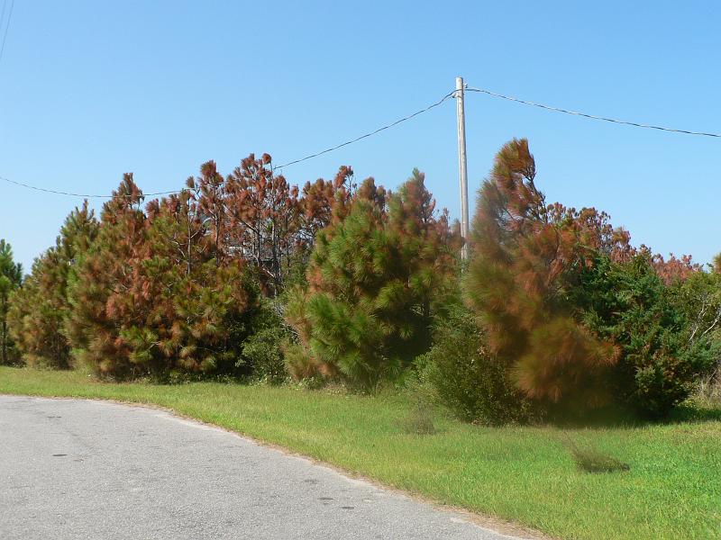 P1010245.JPG