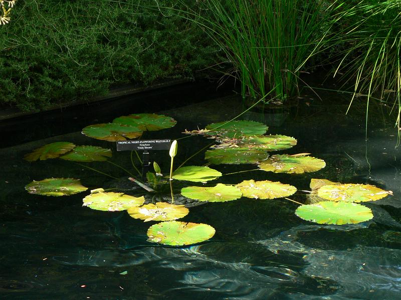 P1100769.JPG