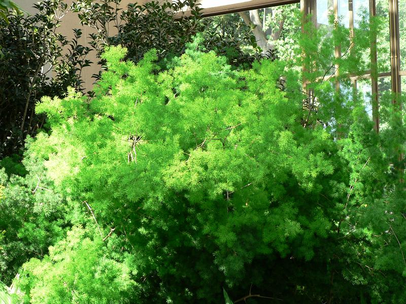 P1100799.JPG