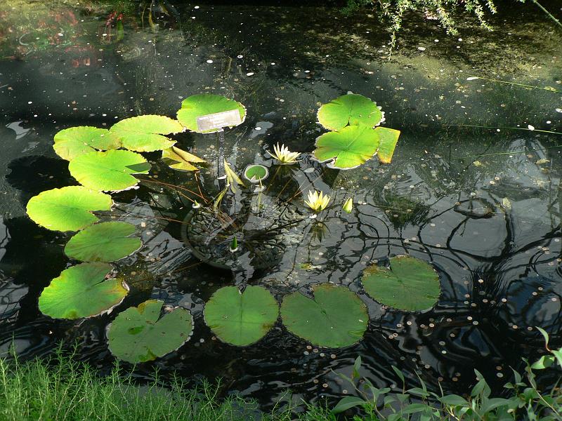 P1100806.JPG