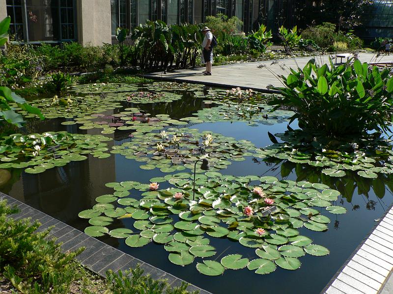 P1100849.JPG