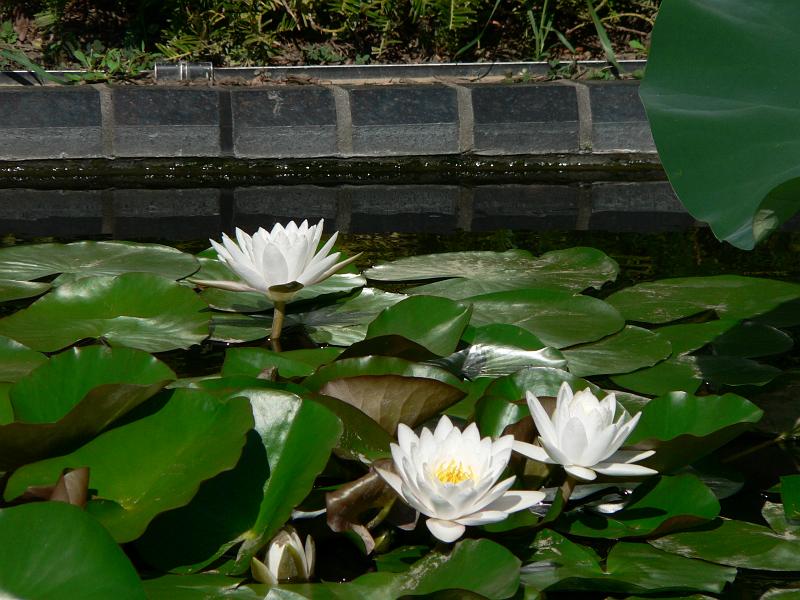 P1100876.JPG