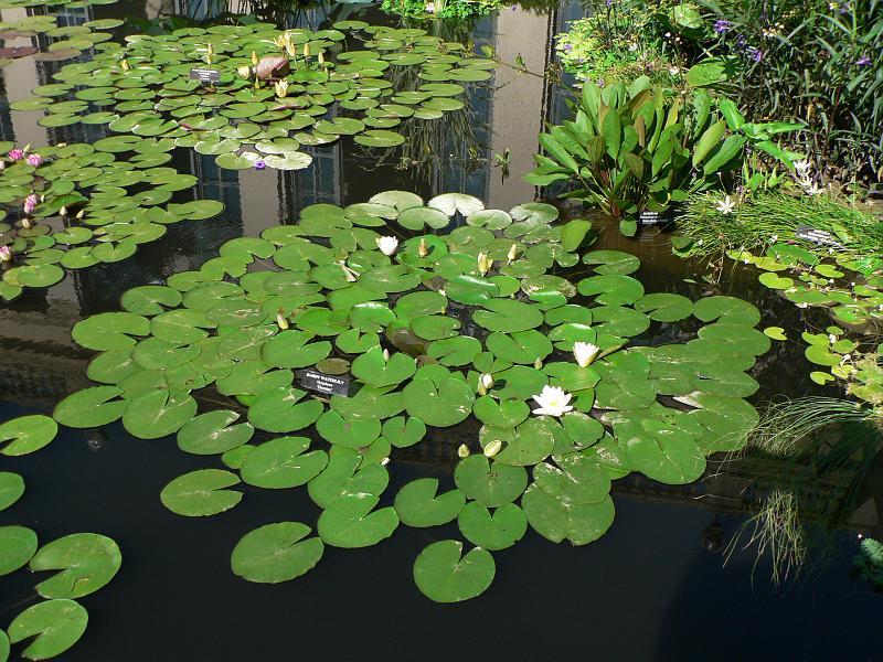P1100894.JPG