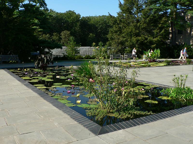 P1100933.JPG