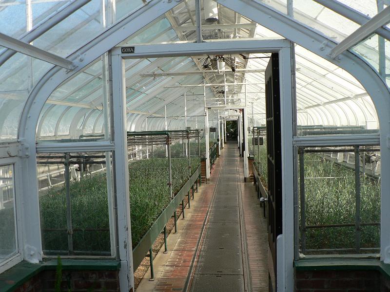P1110007.JPG