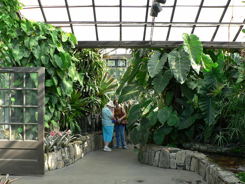 P1110019.JPG