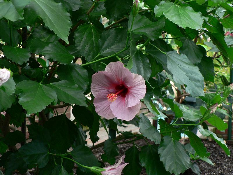 P1110056.JPG