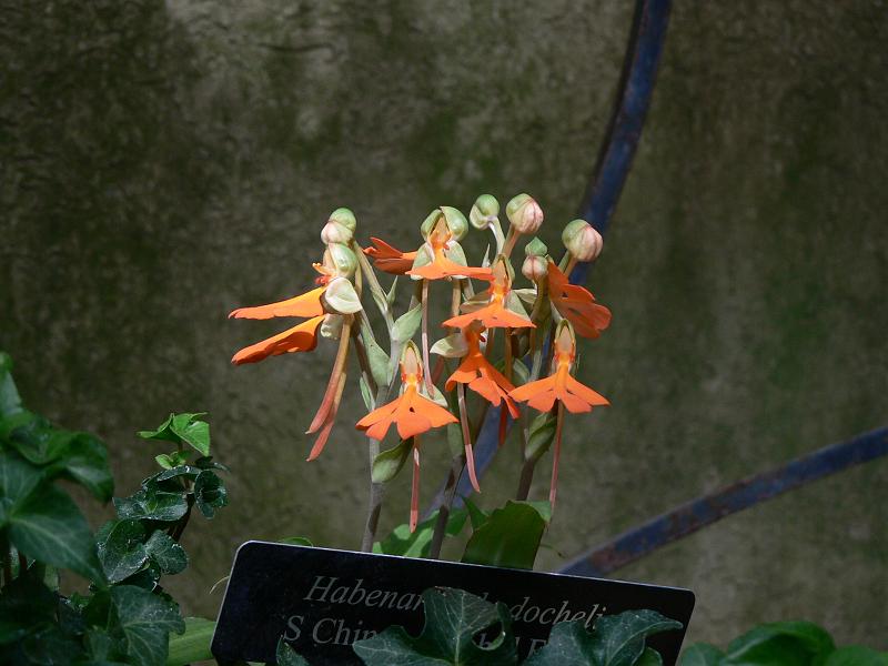 P1110114.JPG