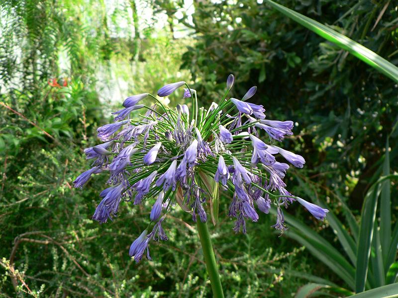 P1110167.JPG