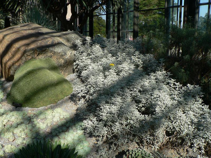 P1110186.JPG