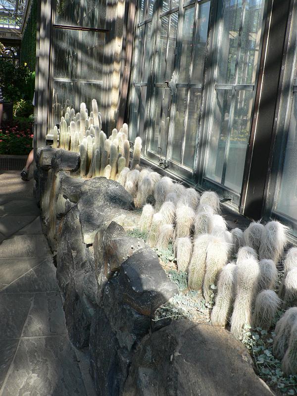P1110200.JPG