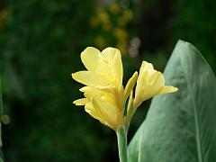 P1100702