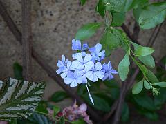 P1100715