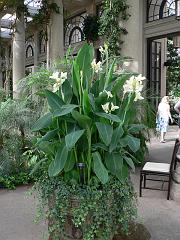 P1100733