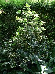 P1100766