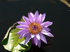 P1100851