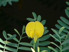 P1100897