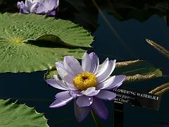 P1100909