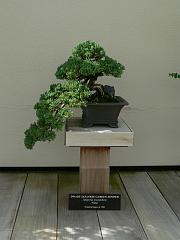 P1100969