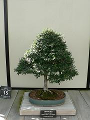 P1100971