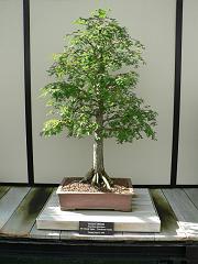 P1100980