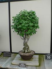 P1100986