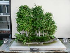P1100992