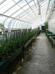 P1110002